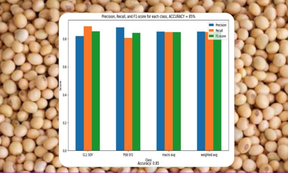 Soybean classification research